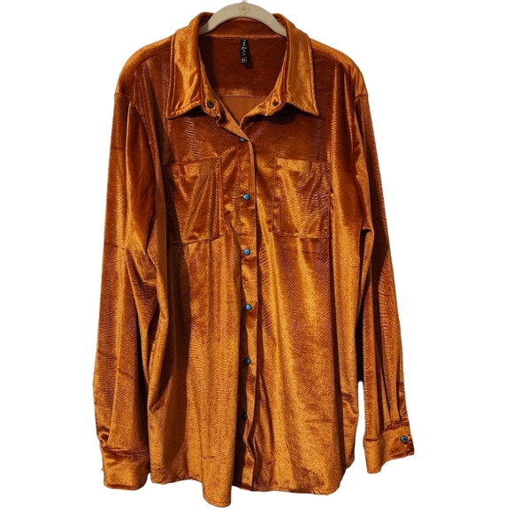 2 Fly Velvedeer Spice Button Down Top - Picture 1 of 6